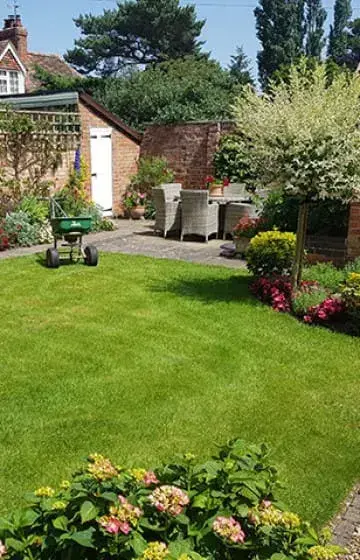 Lawn Care Programmes