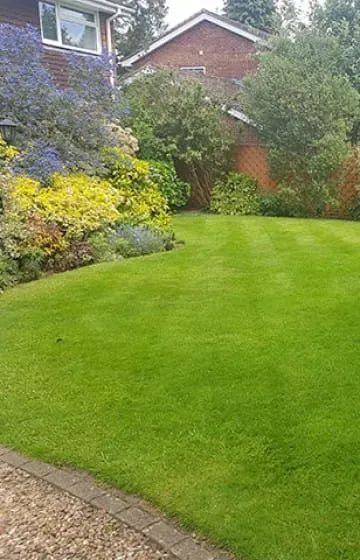 Championship-grade striped lawn at a Bude property maintained by Green Stripe Lawn Care